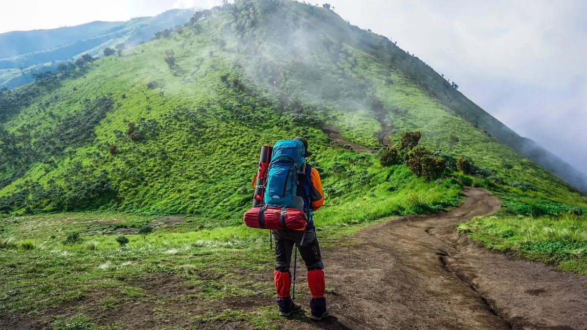 Backpacker exploring hill trail in daylight amid scenic landscape