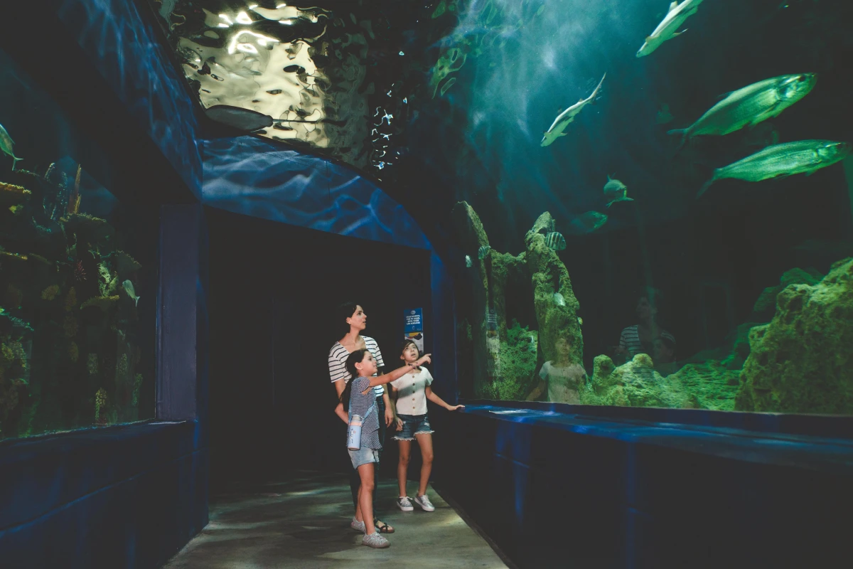 A group of children is exploring an aquarium, captivated by the large fish swimming in a vibrant blue tank.