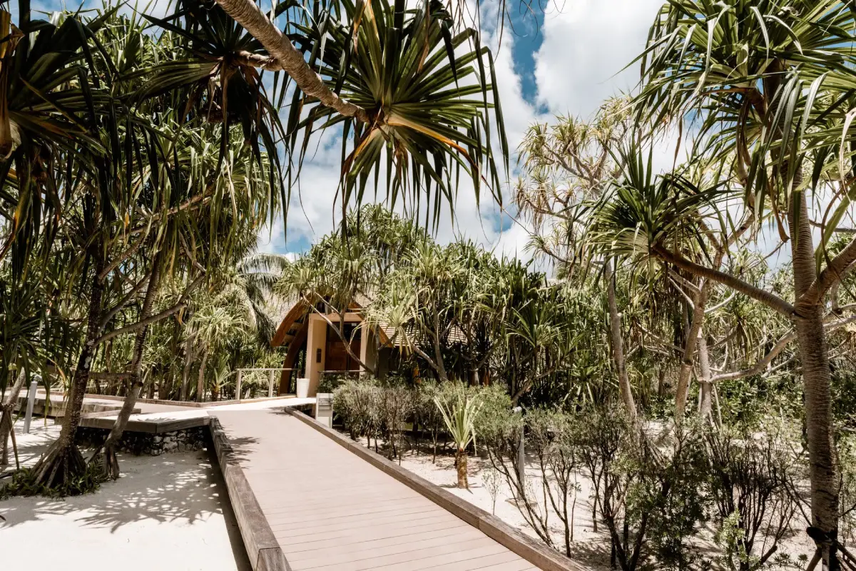 A wooden walkway leads to a retreat surrounded by palm trees and sandy paths under a blue sky.