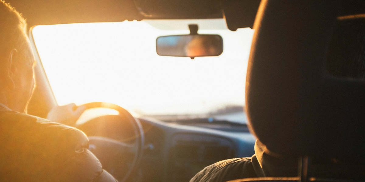 A person driving a car, with a sunlit landscape visible through the windshield.
