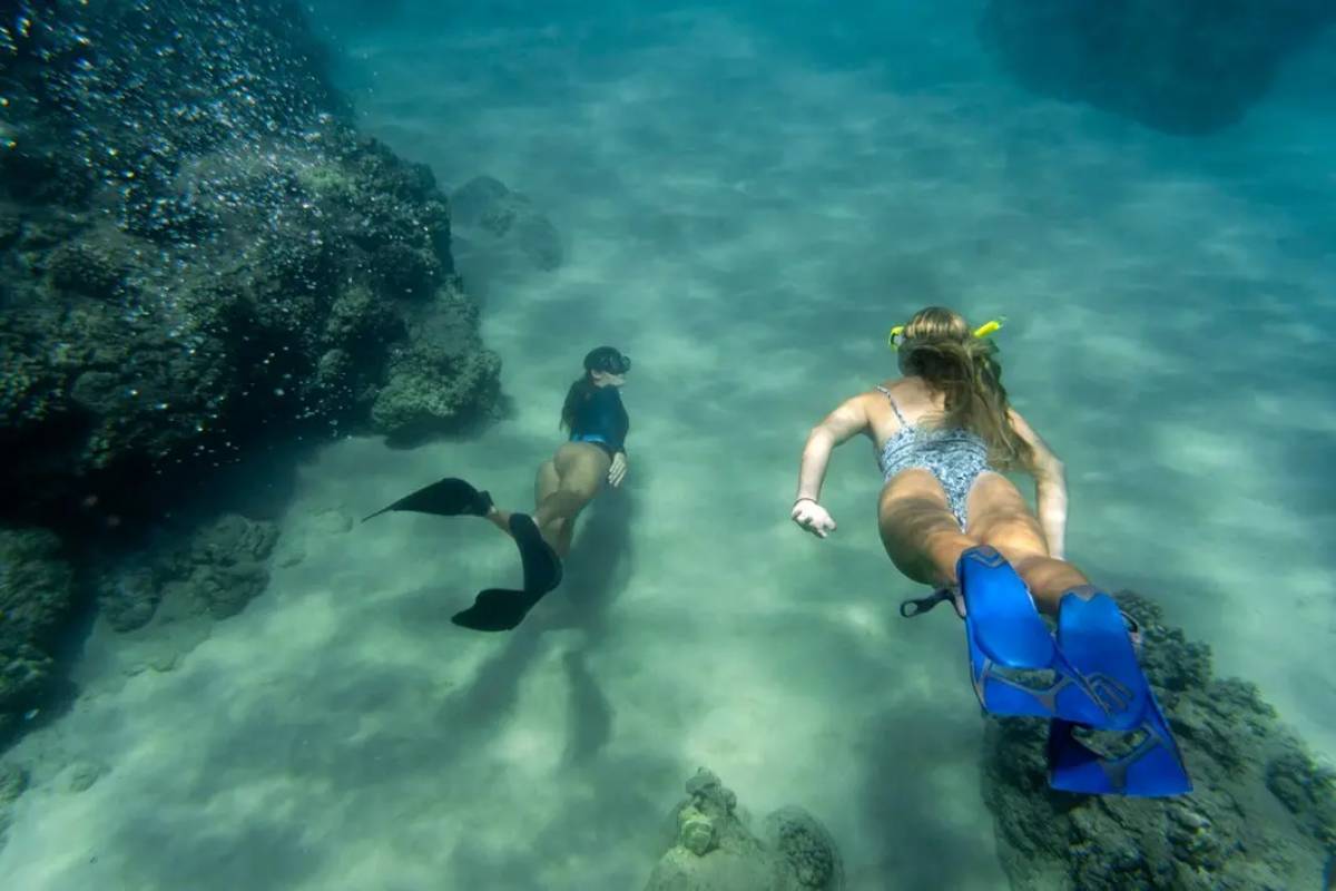 Two women in swimsuits and flippers swim underwater near coral, surrounded by bubbles and clear blue water.