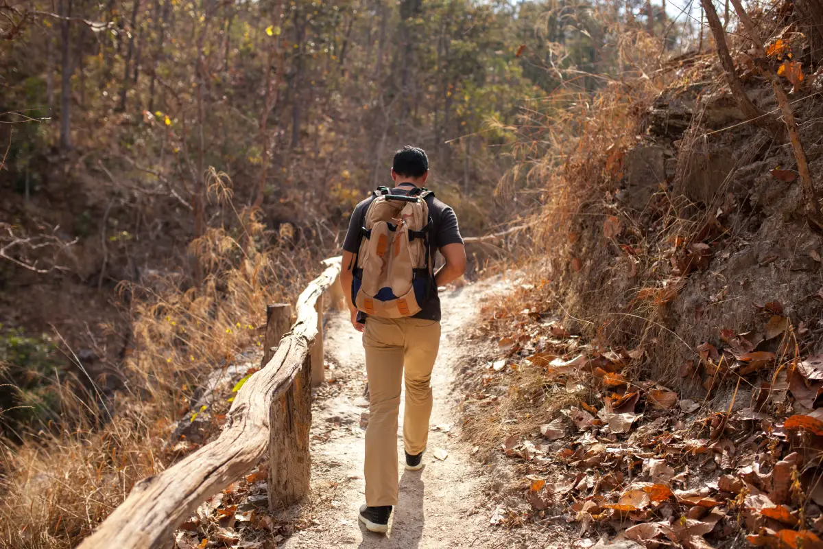 A Person with a backpack hiking on a sunlit forest trail surrounded by dry leaves and trees