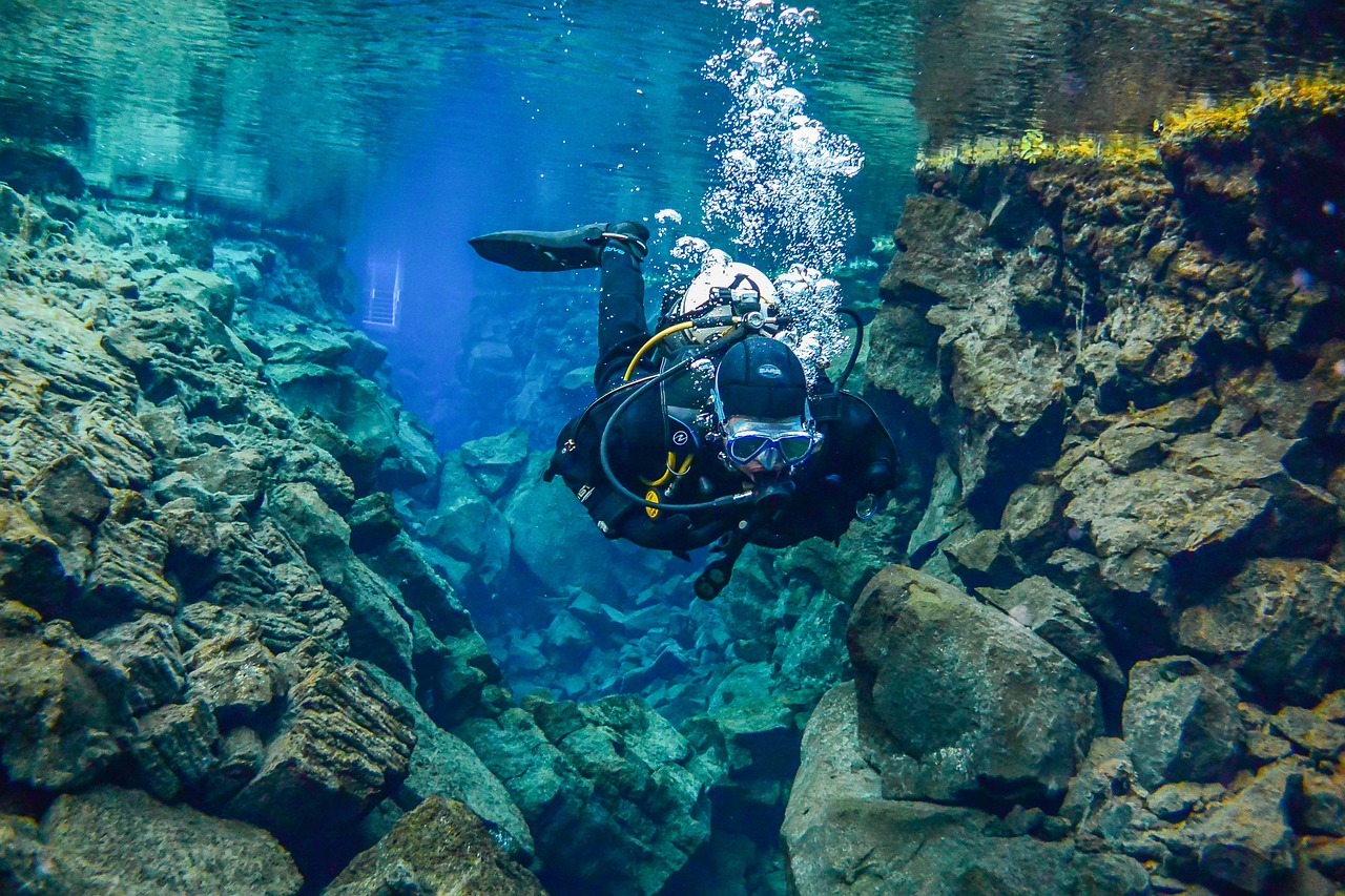 Diver exploring colourful tropical fish and coral reef in deep ocean during underwater adventure