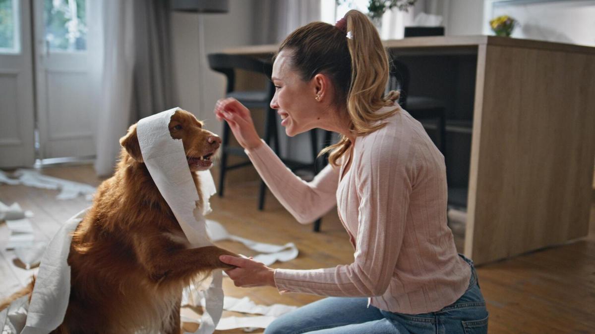 10 Common Pet Health Myths and the Truth Behind Them