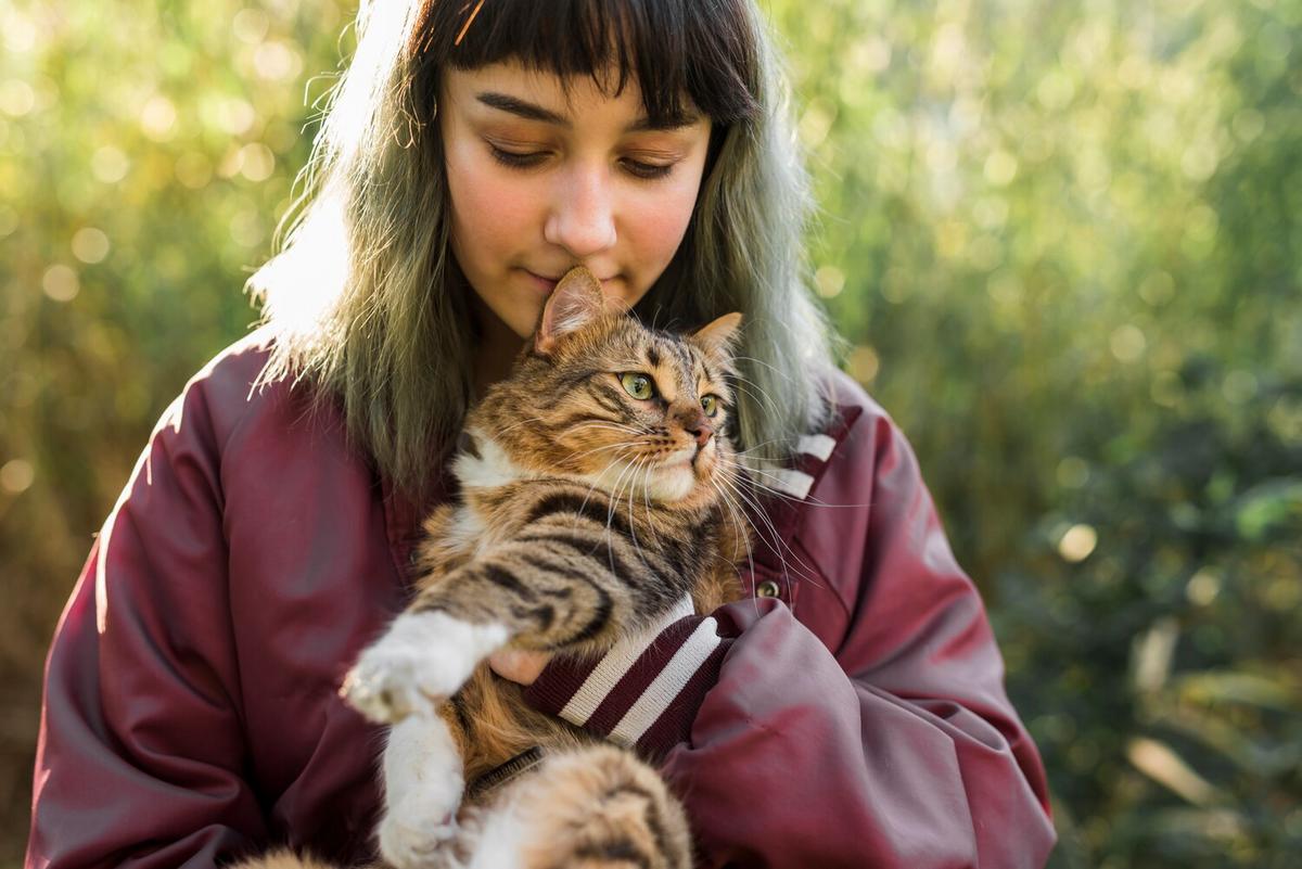 Understanding Feline Behavior: Why Cats Do What They Do