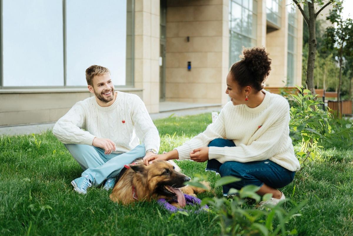 Addressing Separation Anxiety in Pets