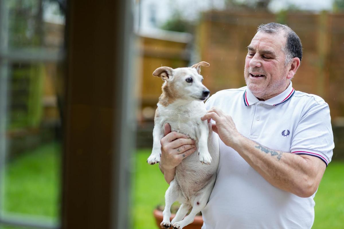 Training Older Dogs: Challenges and Strategies