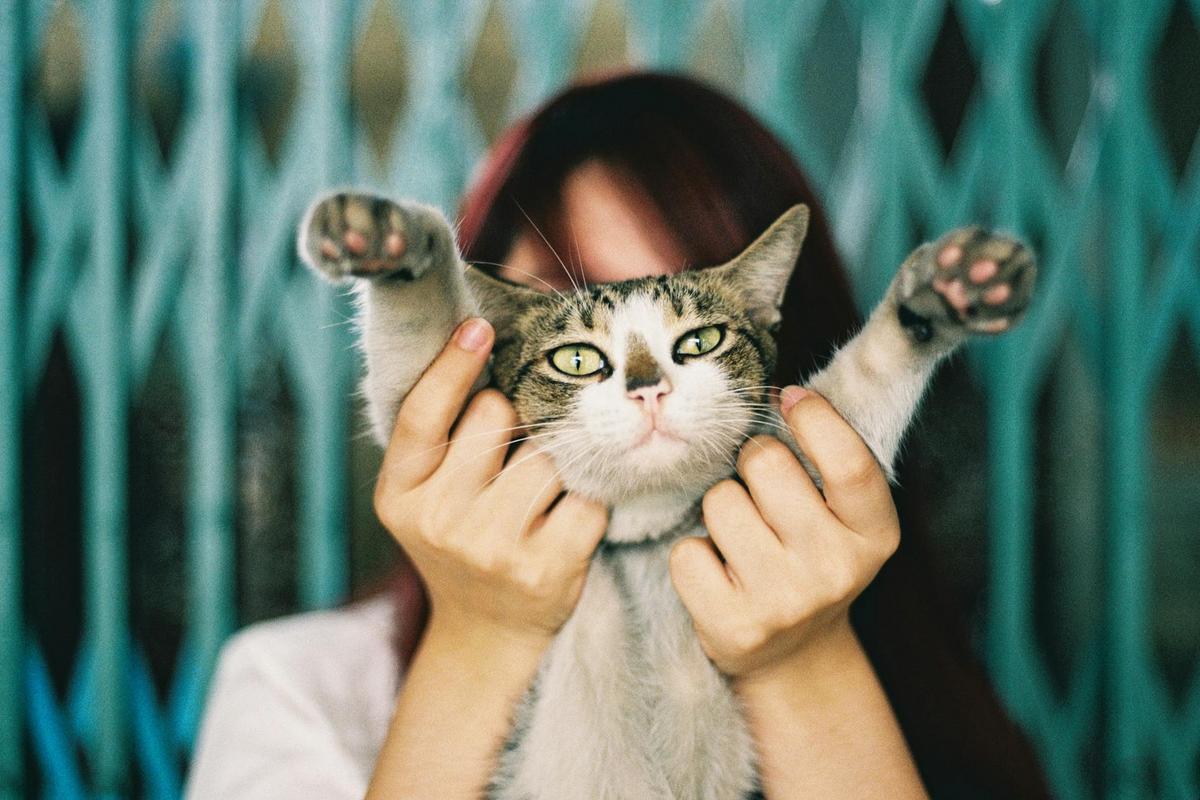 Effective Techniques for Reducing Aggressive Behavior in Pets