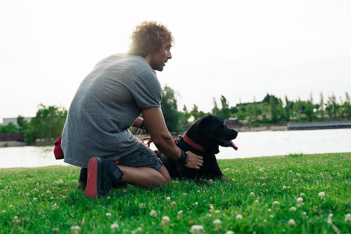 House Training Tips for New Pet Owners