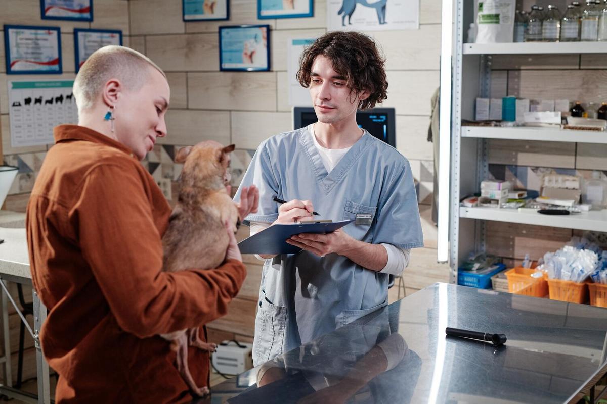 How to Identify and Treat Common Pet Allergies