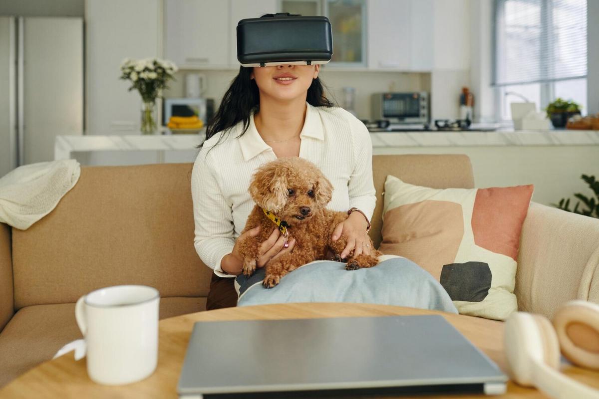 How Smart Collars Are Changing Pet Ownership