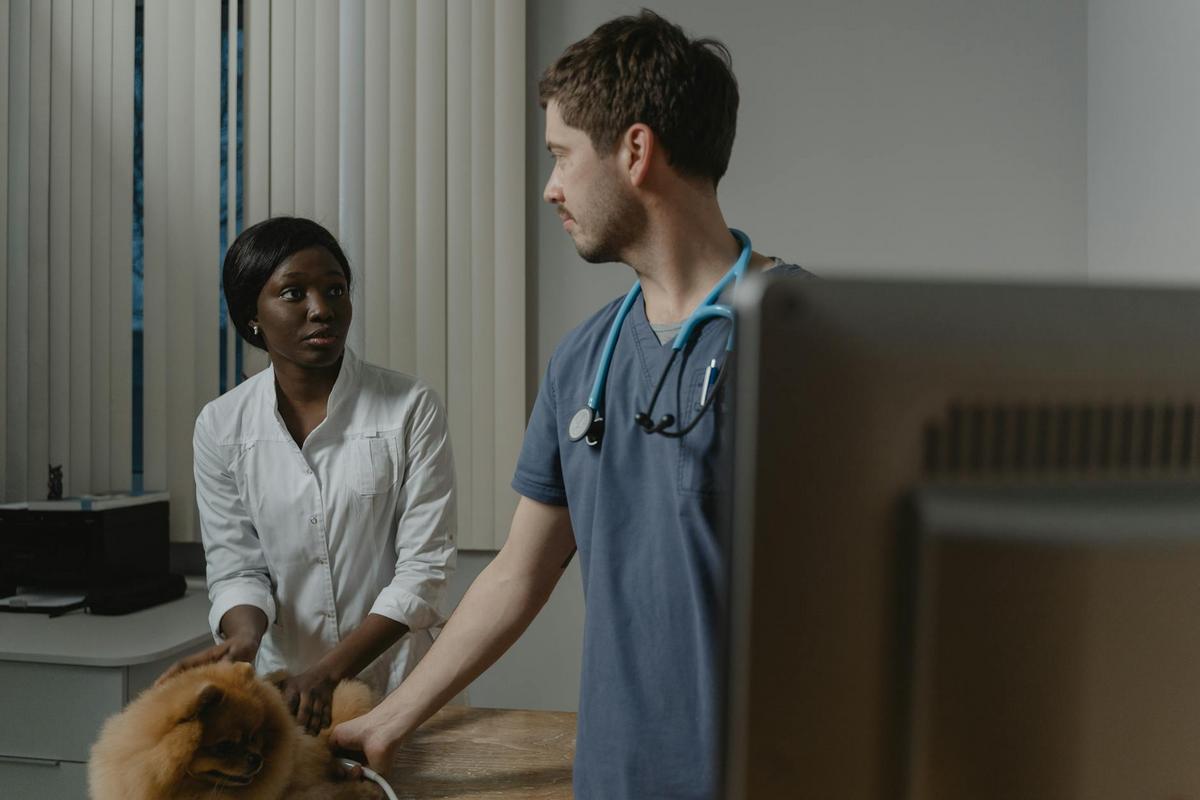 The Rise of Virtual Vet Visits: Pros and Cons