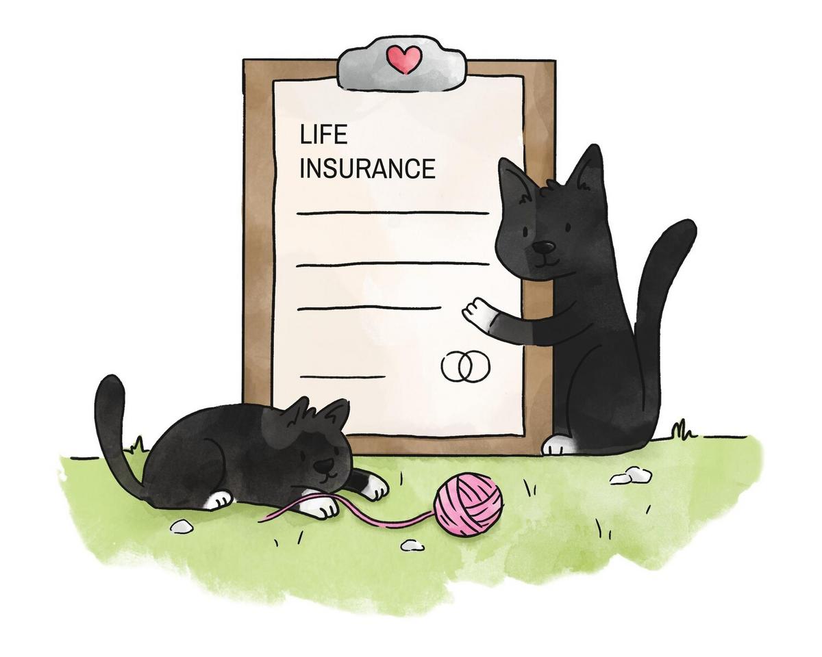 Navigating Pet Insurance: Is It Worth the Investment?